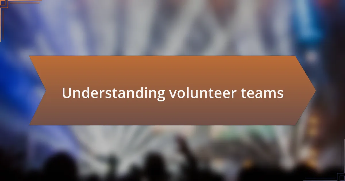 Understanding volunteer teams